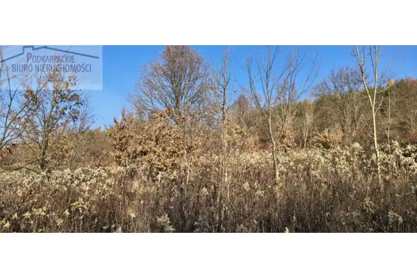 podkarpackie, strzyżowski, Strzyżów, Tropie, Działka na sprzedaż