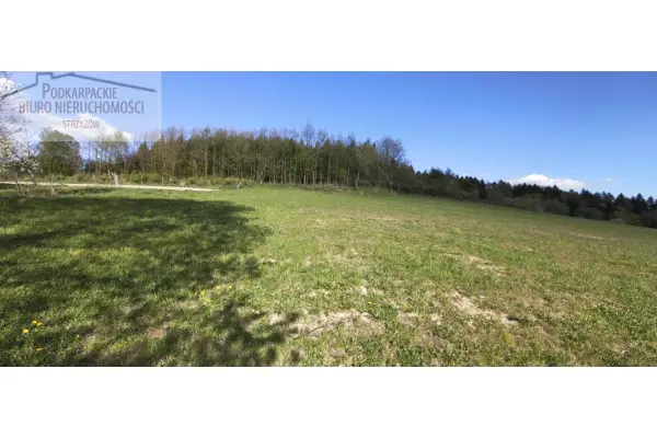 podkarpackie, strzyżowski, Strzyżów, Żarnowa, Działka na sprzedaż