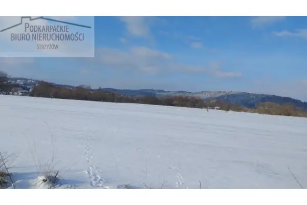 podkarpackie, strzyżowski, Frysztak, Kobyle, Działka na sprzedaż