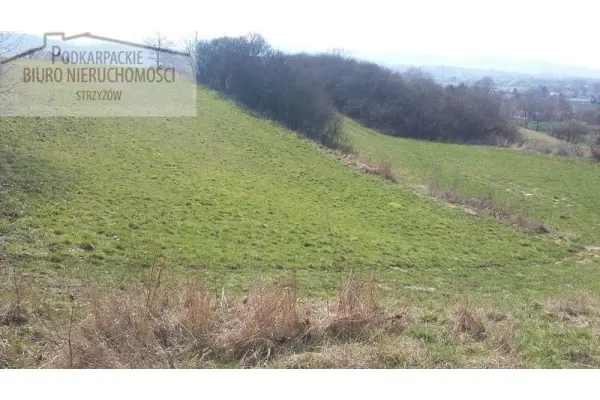 podkarpackie, strzyżowski, Strzyżów, Działka na sprzedaż