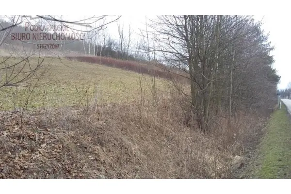 podkarpackie, strzyżowski, Strzyżów, Tropie, Działka na sprzedaż