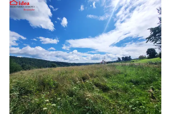 podkarpackie, brzozowski, Dydnia, Działka na sprzedaż