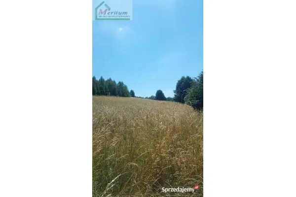 podkarpackie, jasielski, Tarnowiec, Glinik Polski, Działka na sprzedaż